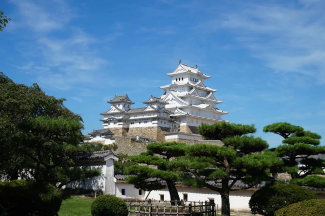 白い天守と石垣、松の緑が重なる姫路城の外観