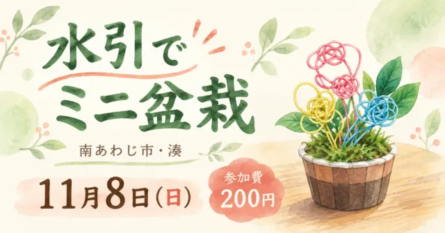 【南あわじ市】水引ミニ盆栽づくり11月8日｜200円、電話申込・はさみ持参