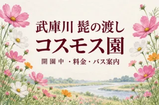 武庫川髭の渡しコスモス園2026｜開園中・料金・バス案内