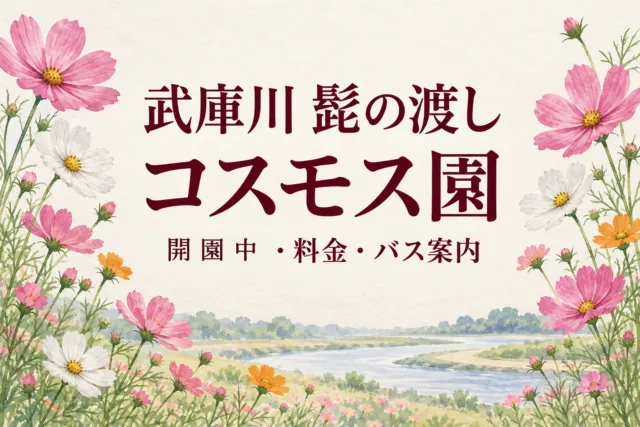 武庫川髭の渡しコスモス園2026｜開園中・料金・バス案内