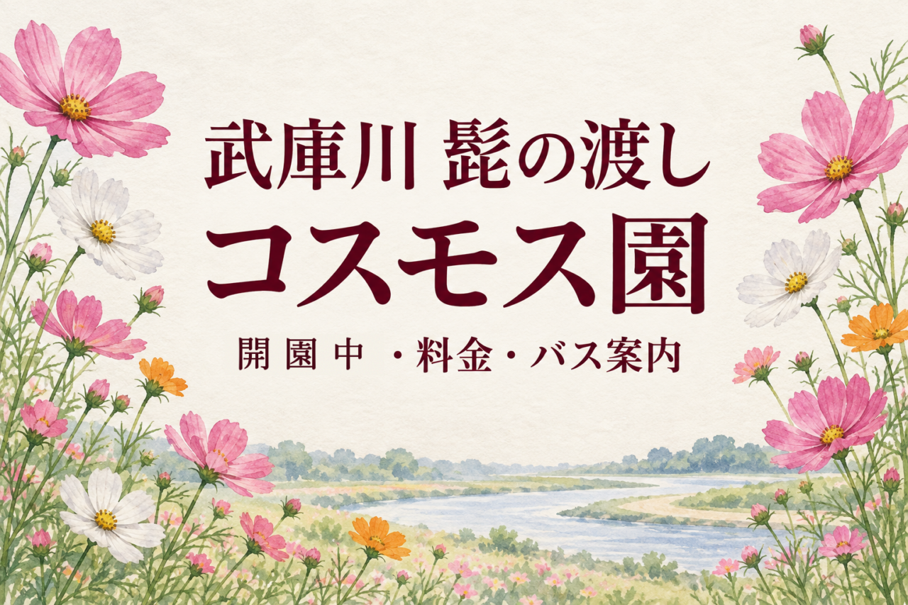 武庫川コスモス園の開花状況2026最新！見頃予想・無料入園・アクセスを徹底解説