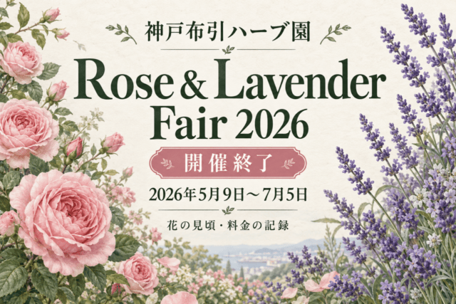 神戸布引ハーブ園のRose & Lavender Fair 2026は開催終了。2026年5月9日〜7月5日、花の見頃・料金の記録と表示したローズとラベンダーのAIイラスト。実景写真ではありません。
