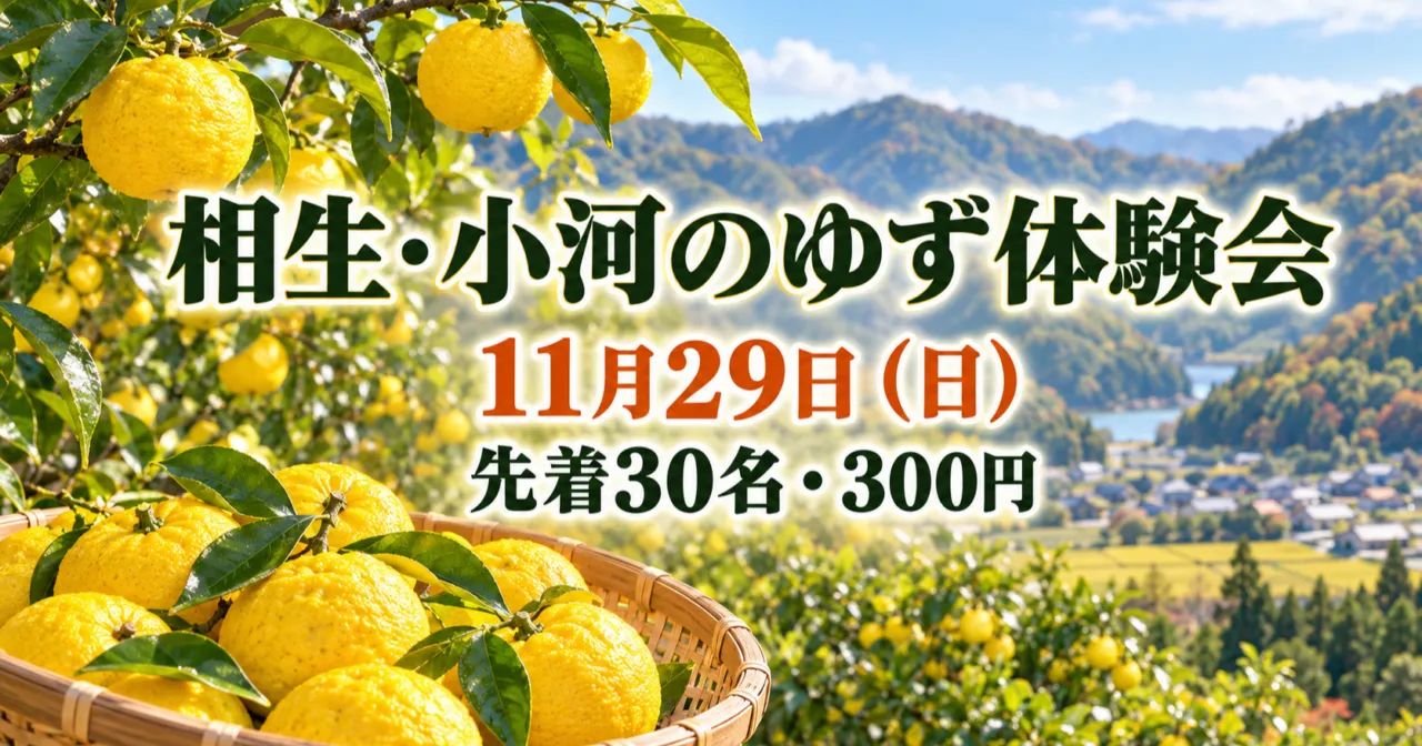 相生・小河のゆず体験会 11月29日(日) 先着30名・300円(ゆず園のイメージイラスト)