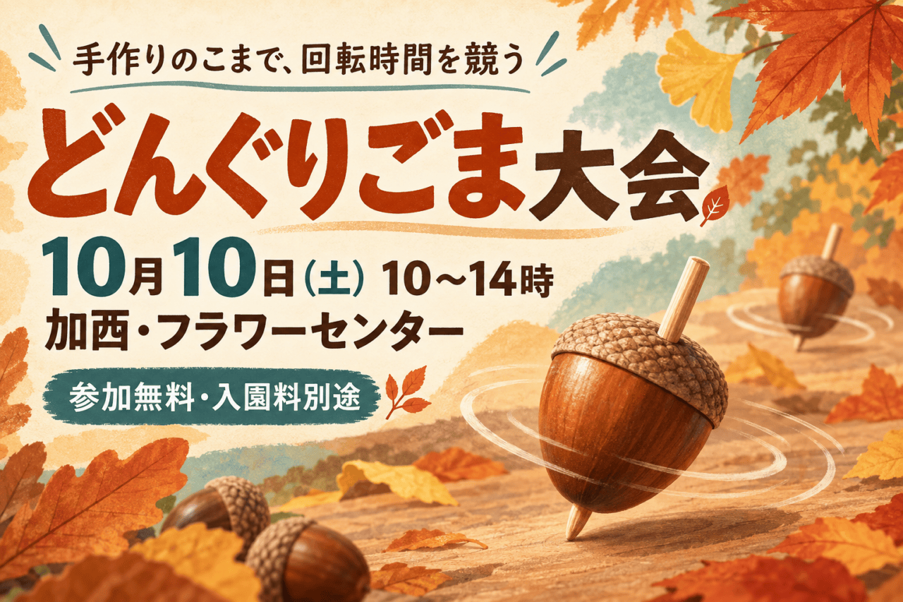 どんぐりごま大会、10月10日10～14時、加西・フラワーセンター、参加無料・入園料別途を示す秋色の編集イラスト
