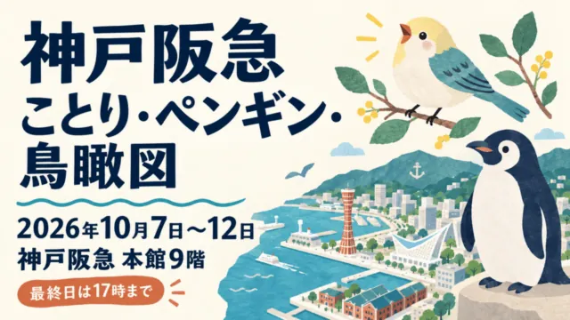 神戸阪急のことり・ペンギン・鳥瞰図3企画。2026年10月7日〜12日、本館9階、最終日は17時まで。イラスト