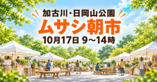 加古川・日岡山公園 ムサシ朝市 10月17日9〜14時の案内。白いテントと木製ベンチを描いたイメージイラスト。