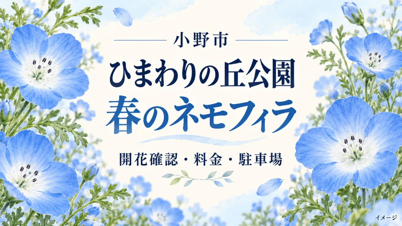 小野市・ひまわりの丘公園 春のネモフィラ。開花確認・料金・駐車場を案内する花のイラスト