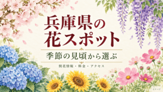 兵庫県の花スポット。季節の見頃から選ぶ、開花情報・料金・アクセスを案内する季節の花のイラスト。