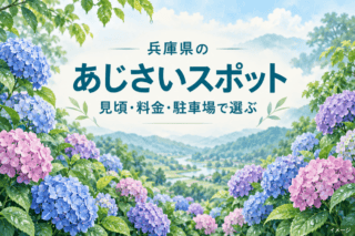 兵庫県のあじさいスポット。見頃・料金・駐車場で選ぶ季節のガイドを示すあじさいのイラスト。