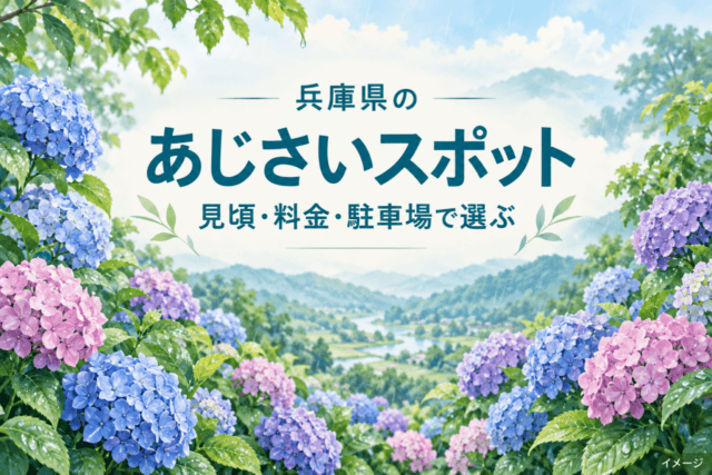 兵庫県のあじさいスポット。見頃・料金・駐車場で選ぶ季節のガイドを示すあじさいのイラスト。