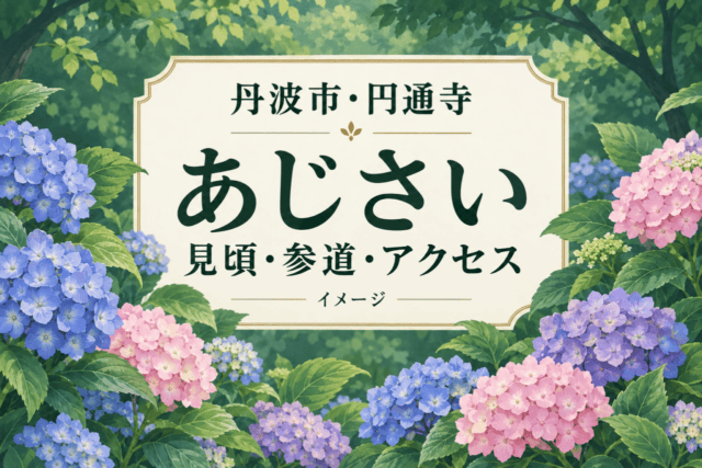 丹波市・円通寺のあじさい。見頃・参道・アクセスを紹介する植物のイメージイラスト。