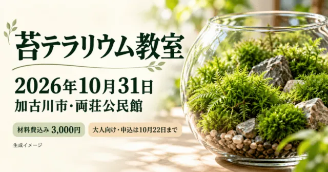 苔テラリウム教室。2026年10月31日、加古川市・両荘公民館、材料費込み3000円。イメージイラスト。