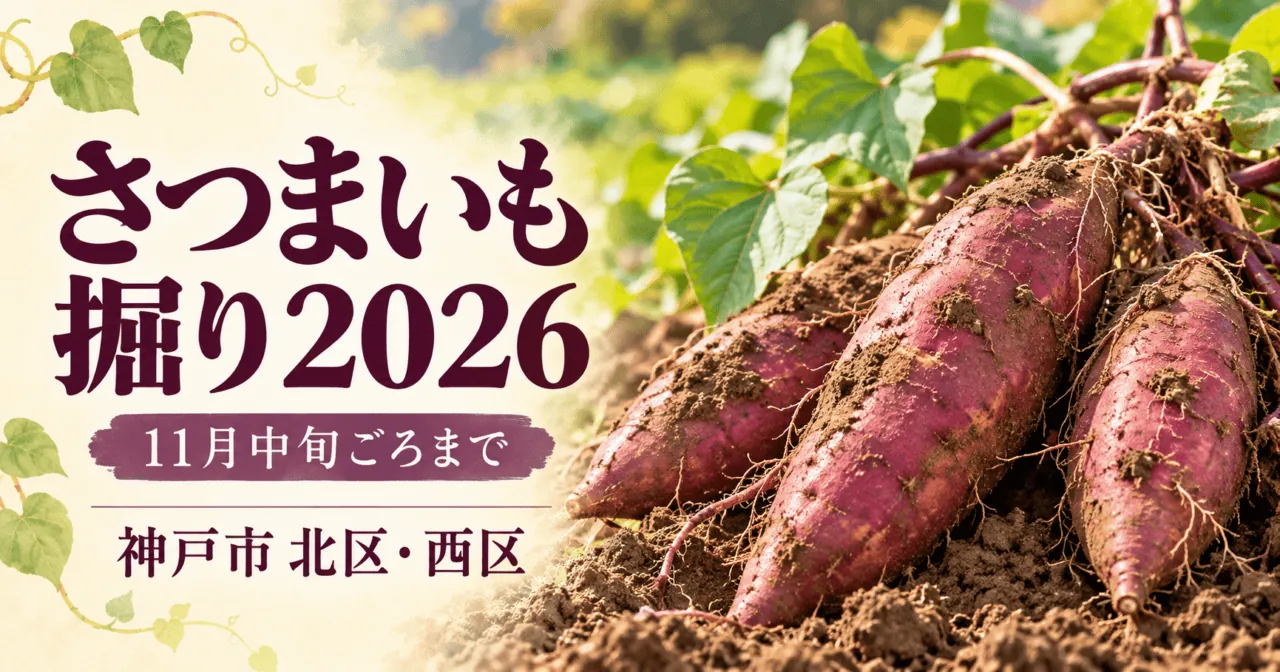 神戸市北区・西区のさつまいも掘りを伝えるイメージイラスト