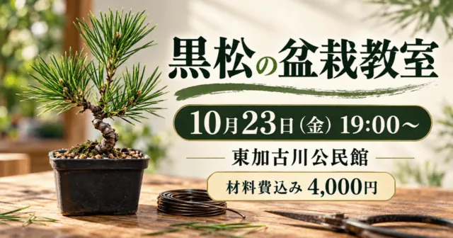 黒松の苗をモチーフにした盆栽教室のイメージ。10月23日19時、東加古川公民館、4,000円・材料費込み