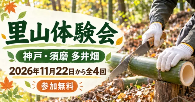 神戸・須磨 多井畑の里山体験会。11月22日から全4回、参加無料。竹を手入れするイメージイラスト