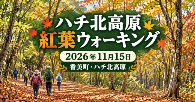 ハチ北高原紅葉ウォーキング、2026年11月15日、香美町・ハチ北高原。秋の林を歩くイメージイラスト