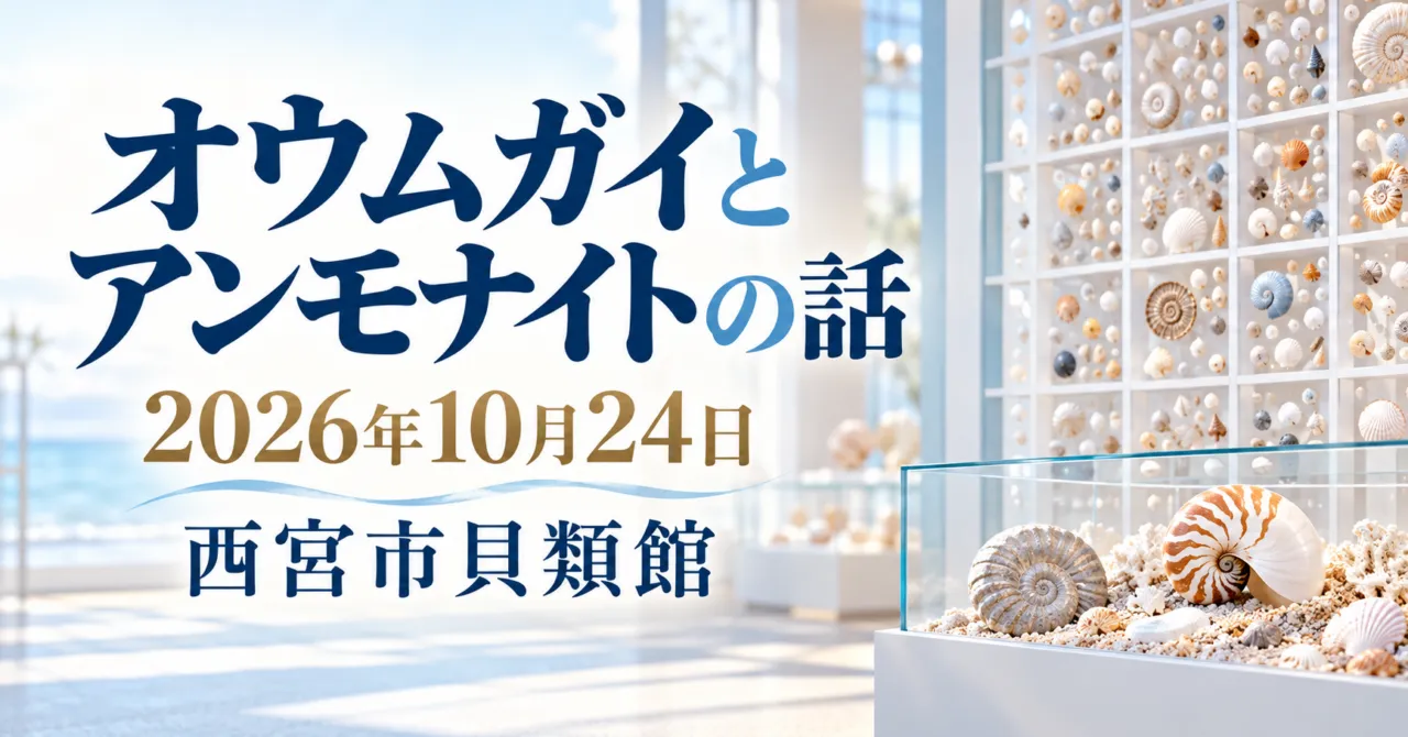 オウムガイとアンモナイトの話、2026年10月24日、西宮市貝類館。貝殻の展示パネルをモチーフにしたイメージイラスト。