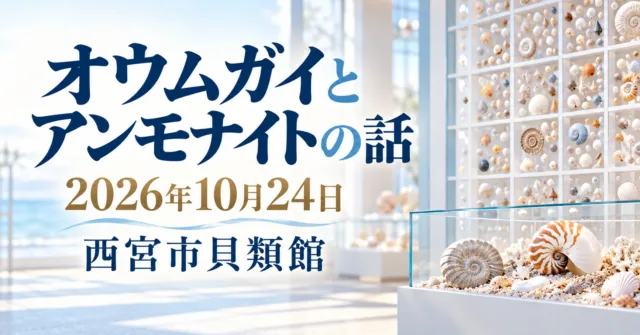 オウムガイとアンモナイトの話、2026年10月24日、西宮市貝類館。貝殻の展示パネルをモチーフにしたイメージイラスト。