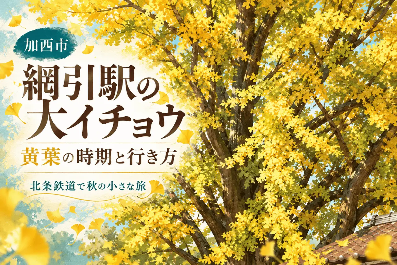 加西市・網引駅の大イチョウ。黄葉の時期と行き方を案内する秋の生成イメージ。
