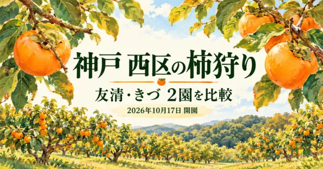 神戸市西区の柿狩り。友清・きづの2園を比較するイラスト。2026年10月17日開園。