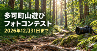 多可町山遊びフォトコンテスト、2026年12月31日まで。公式の森の写真を参考にした生成イメージ