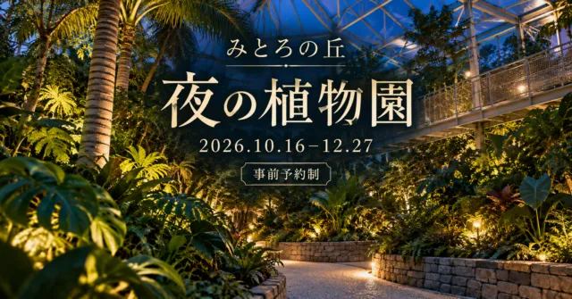 みとろの丘 夜の植物園、2026年10月16日〜12月27日、事前予約制。グラスハウスをモチーフにしたイメージイラスト。