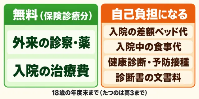 窓口で無料になる保険診療分と、自己負担になる差額ベッド代・食事代・健診・診断書の比較図