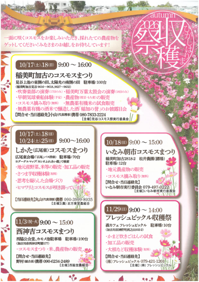 ひがしはりま収穫祭2026の公式チラシ。右下に11月29日のフレッシュピックル収穫祭を掲載
