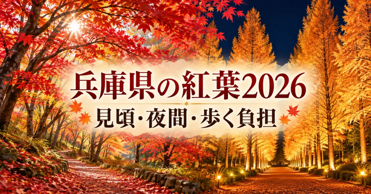 最上山のカエデの遊歩道と神戸森林植物園のメタセコイア夜景をモチーフにした兵庫の紅葉イラスト
