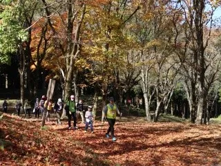 落葉が敷かれた林の道を歩く参加者。ハチ北の公式紹介写真