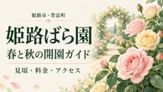 姫路市豊富町の姫路ばら園。春と秋の開園ガイド、見頃・料金・アクセスを案内するバラのイラスト。