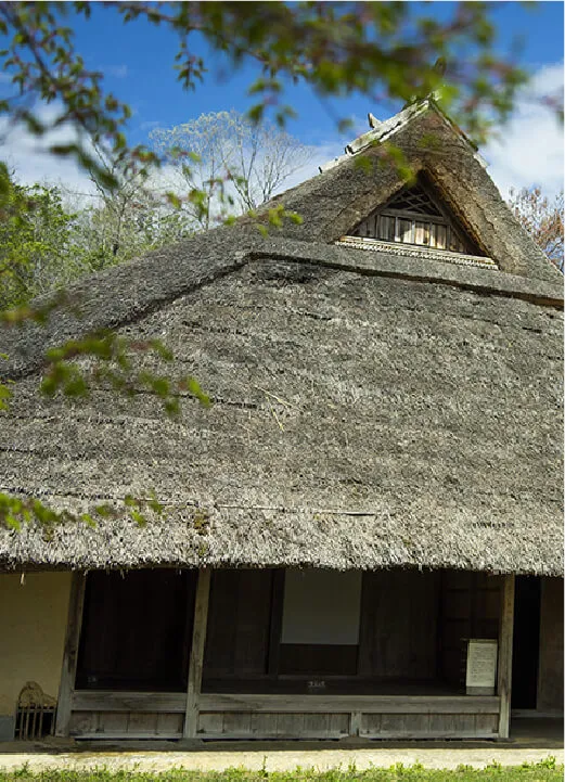 旧東家住宅の厚いかやぶき屋根と木造の縁側