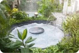 植物に囲まれたジャングル温泉のジャグジーと手すり