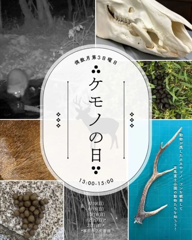 公式の年間案内に掲載された骨、毛皮、角、フンなどの写真。10月18日は13時からの開催日として掲載