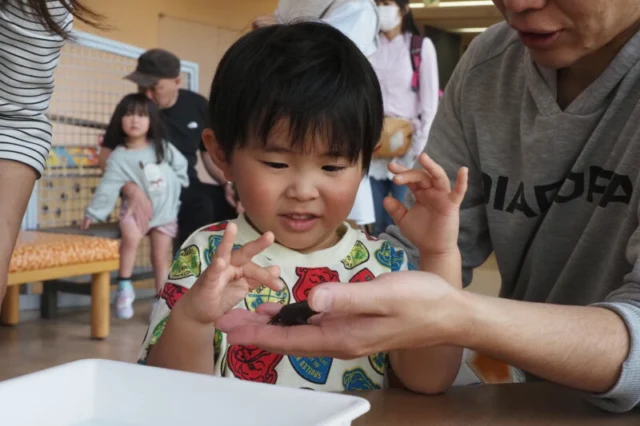 キッピー山のラボ公式の紹介写真。大人の手に乗る生きものを子どもが近くで見ている様子。