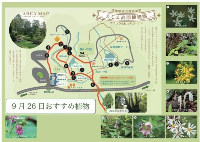 9月26日のおすすめ植物の番号と写真、四季の庭・湿原・和池の大カツラへの園内順路を示す公式マップ