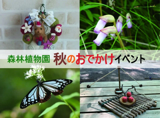 神戸市立森林植物園の秋のイベントを紹介する4場面の公式写真