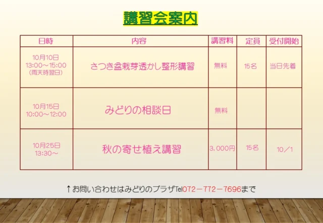 みどりのプラザ10月講習会案内。さつき盆栽は10月10日13〜15時、雨天時翌日・無料・当日先着15人