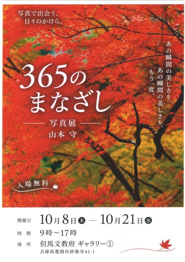 但馬文教府公式の山本守写真展「365のまなざし」チラシ。紅葉の作品と2026年10月8〜21日・9〜17時・入場無料の案内