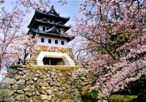 洲本市の公式掲載写真。桜の枝越しに見える模擬天守と、その下に積まれた石垣