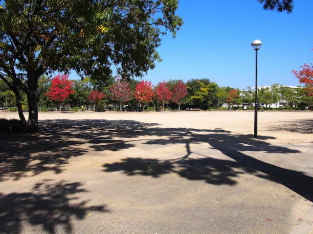 昆陽池公園の広い地面と周囲の赤く色づいた木立、手前の園路