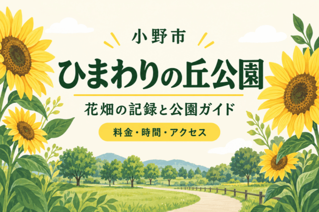 小野市・ひまわりの丘公園。花畑の記録と公園ガイド、料金・時間・アクセスを案内する生成イラスト。