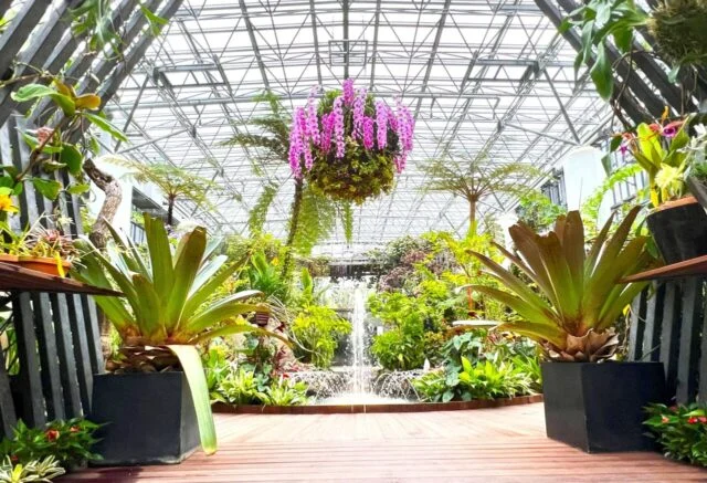 植物と水辺のある温室内の公式写真。2026年のあわじ収穫祭展示を撮影した写真ではありません