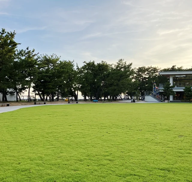 須磨海浜公園の公式写真。広い芝生の向こうに松林と海側の園路が続く