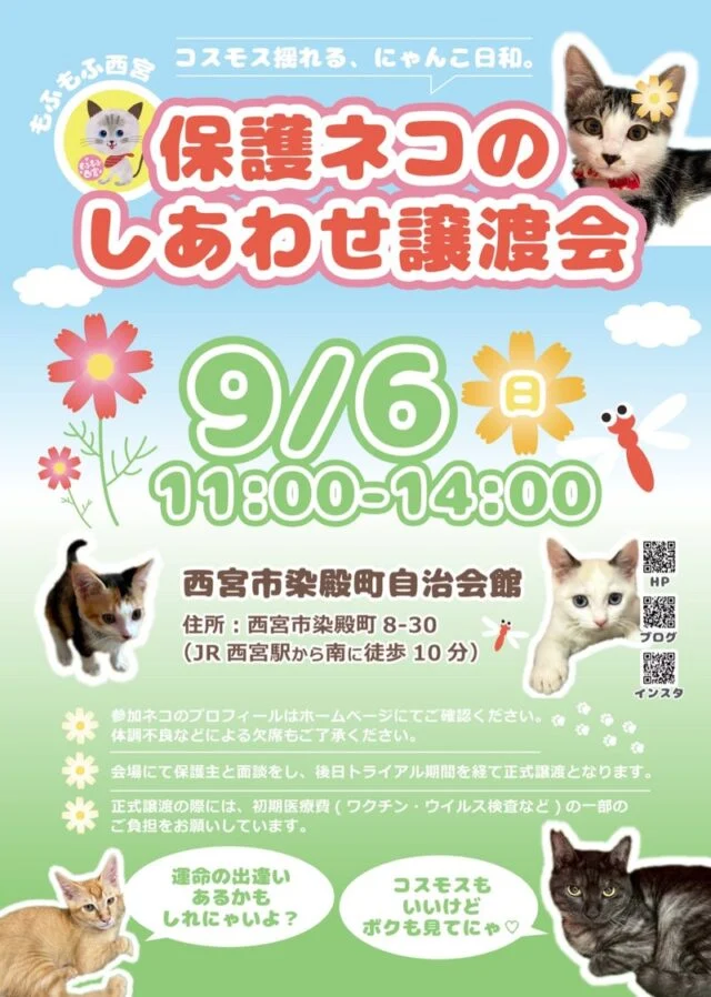もふもふ西宮の9月6日譲渡会公式ポスター。11時〜14時、染殿町自治会館、面談・後日トライアル・初期医療費一部負担の案内