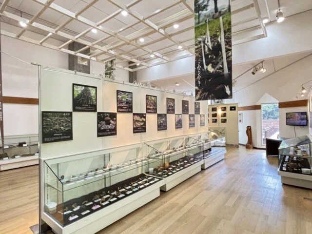 公式案内の展示風景。キノコの標本が入ったガラスケースと写真・解説パネルが室内に並んでいます。