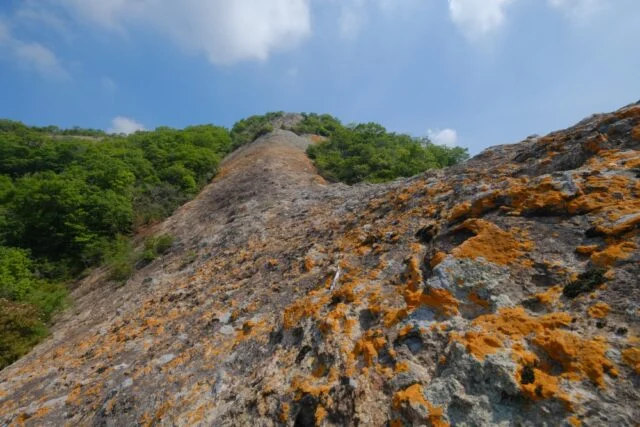紅山の斜面に広がる急な岩場。上部には木々が生え、岩肌が大きく露出している