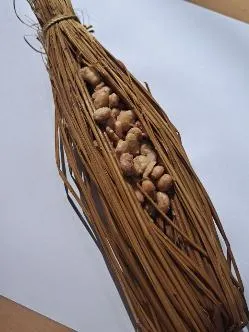 わらの束の中央に大豆が入った藁苞納豆の例