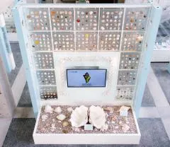 西宮市貝類館の貝殻が並ぶ展示パネルと展示ケース。公式フロアガイド掲載写真