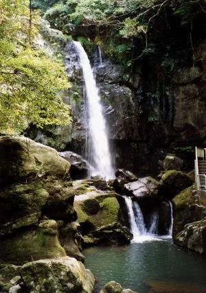 高い岩壁から白く落ちる鮎屋の滝と、手前の岩の間の低い流れ。周囲に苔と木々、下に緑がかった滝つぼ